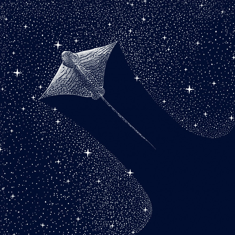 Starry Ornate Eagle Ray