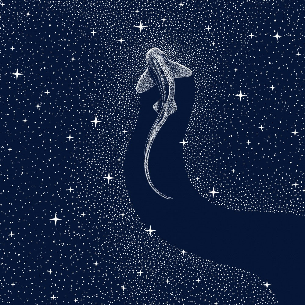 Leopard Shark In Cosmos