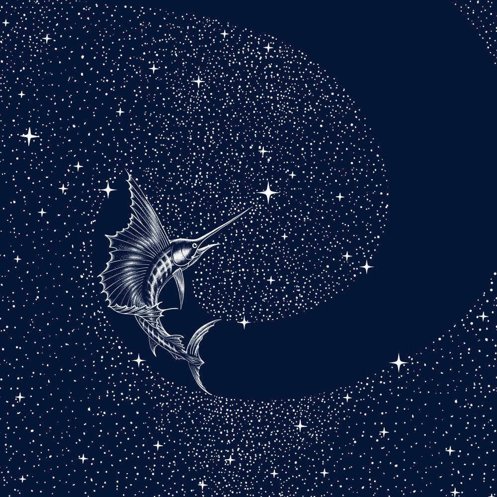 Starry Sailor