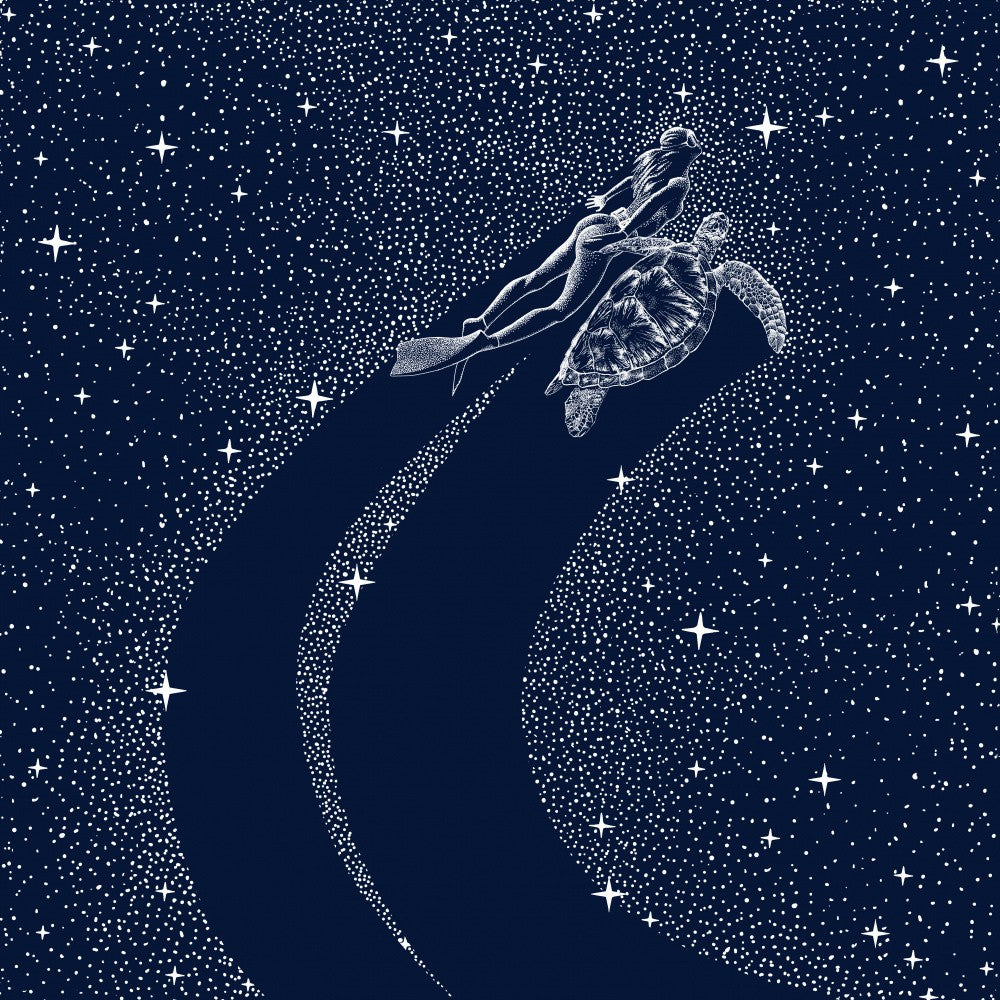 Starry Turtle and Diver