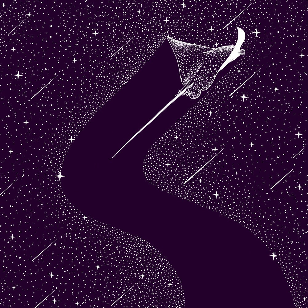 Star Collector Version 2.0