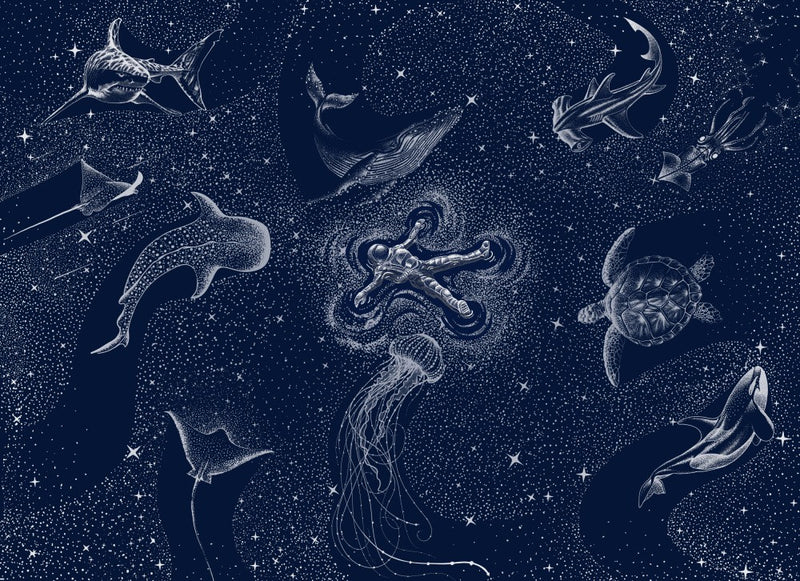 Cosmic Ocean With Astronaut
