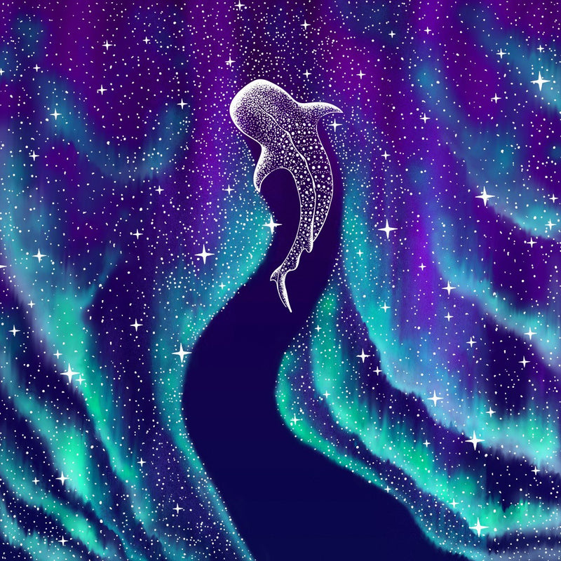 Star Eater In Northern Lights