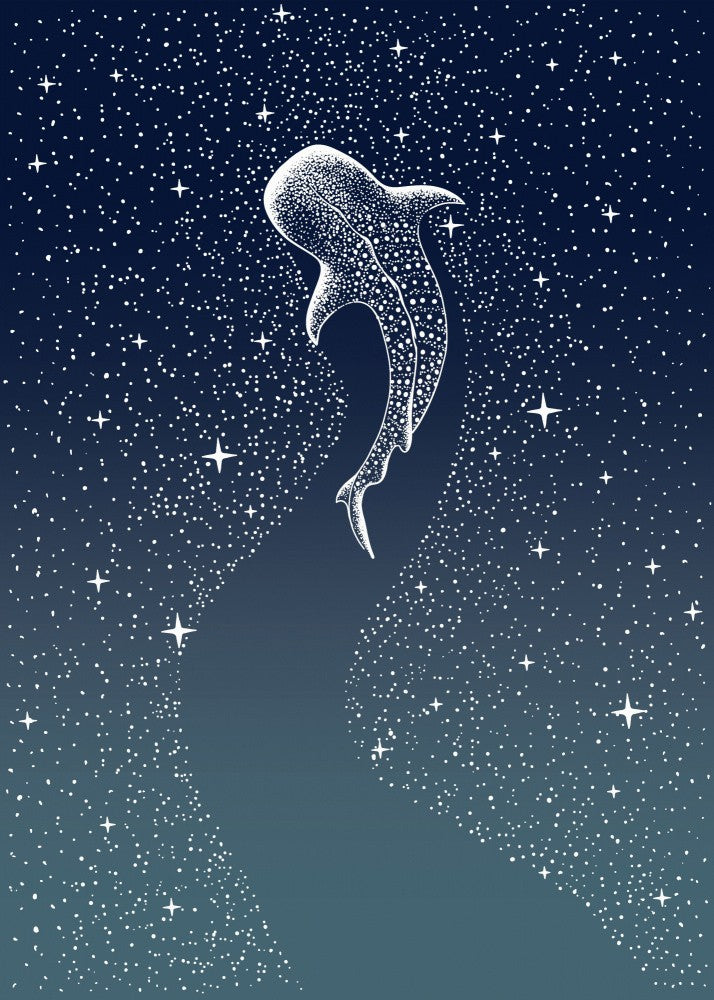 Star Eater Version.2 Turquoise