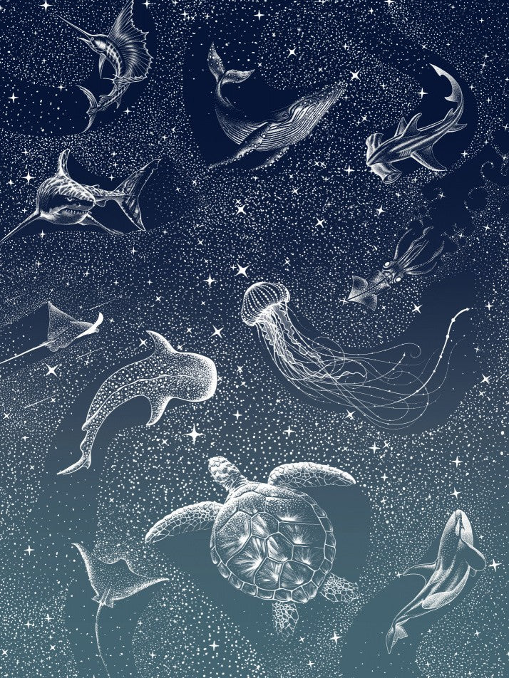 Cosmic Ocean Turquoise Grad