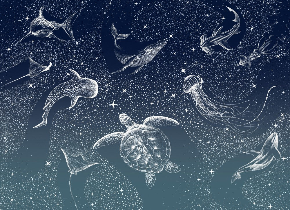 Cosmic Ocean Turquoise Grad