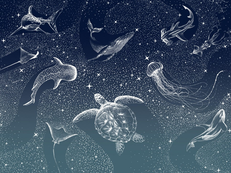 Cosmic Ocean Turquoise Grad