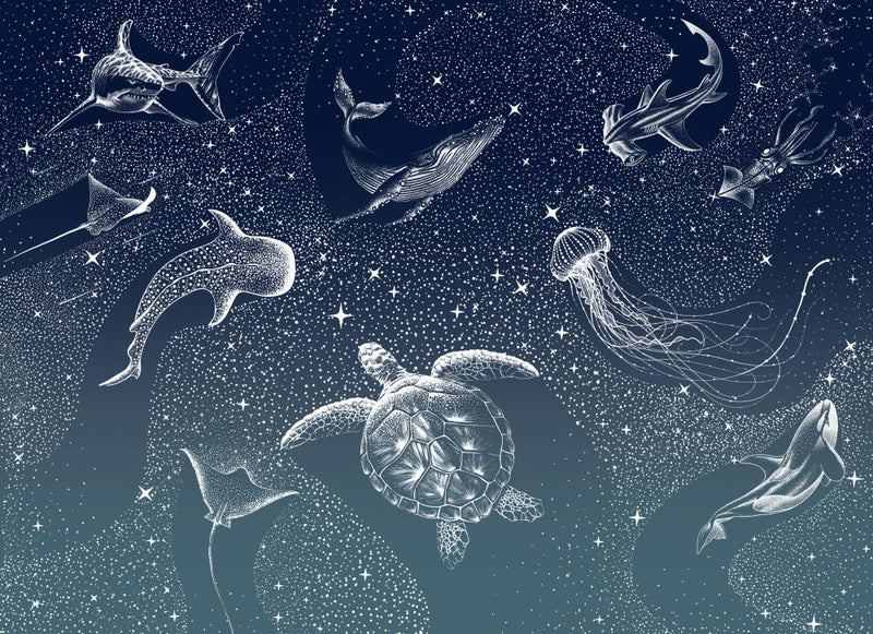 Cosmic Ocean Turquoise Grad