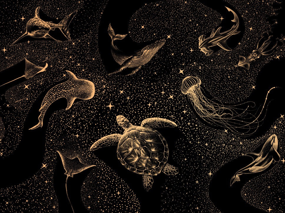 Cosmic Ocean    Dark Gold