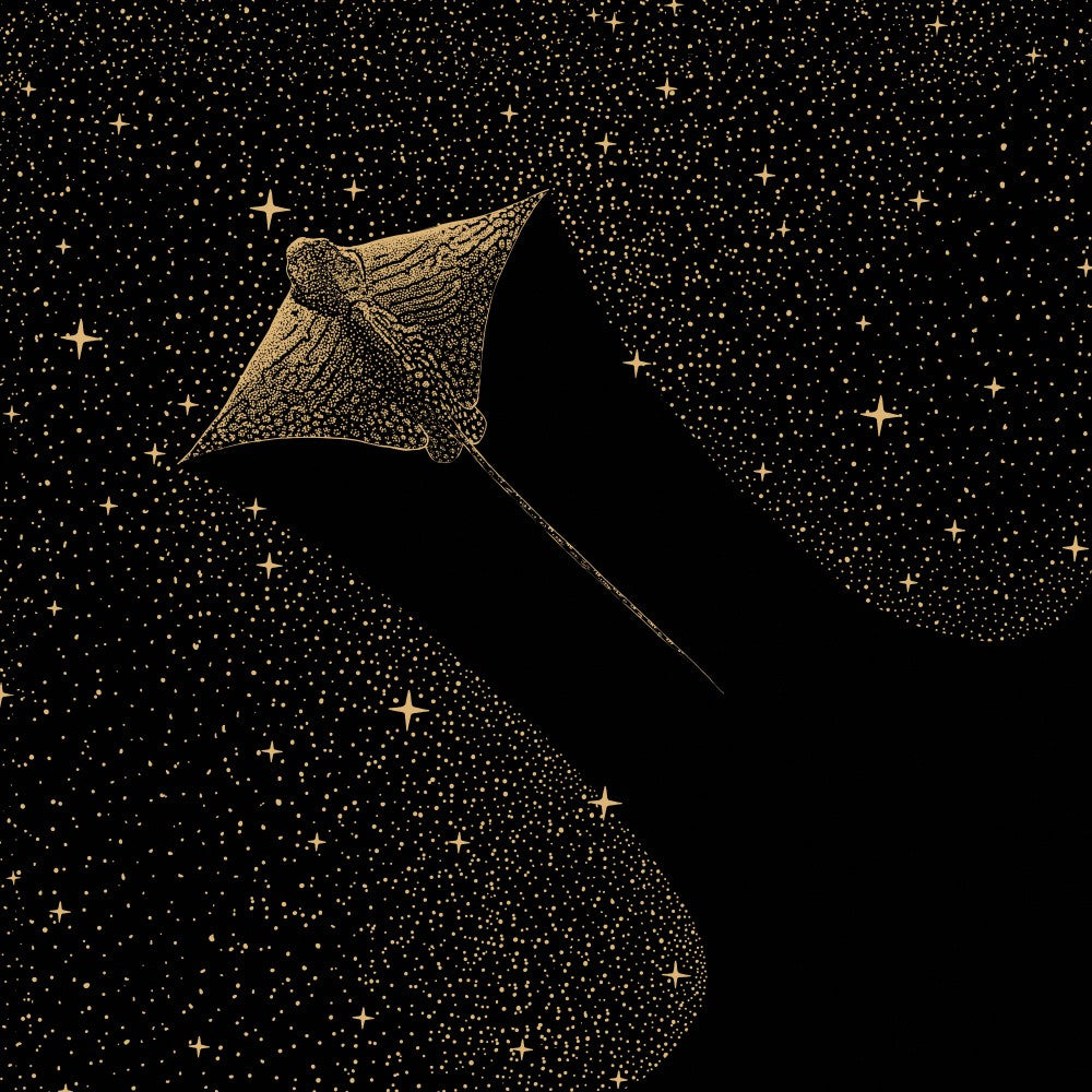 Starry Ornate Eagle Ray Dark Gold Version