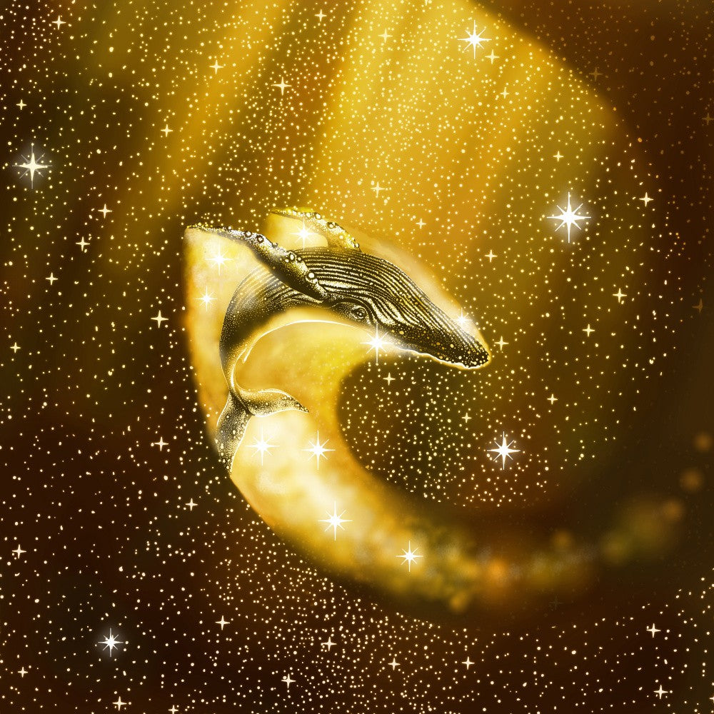 Starry Whale In Golden Space