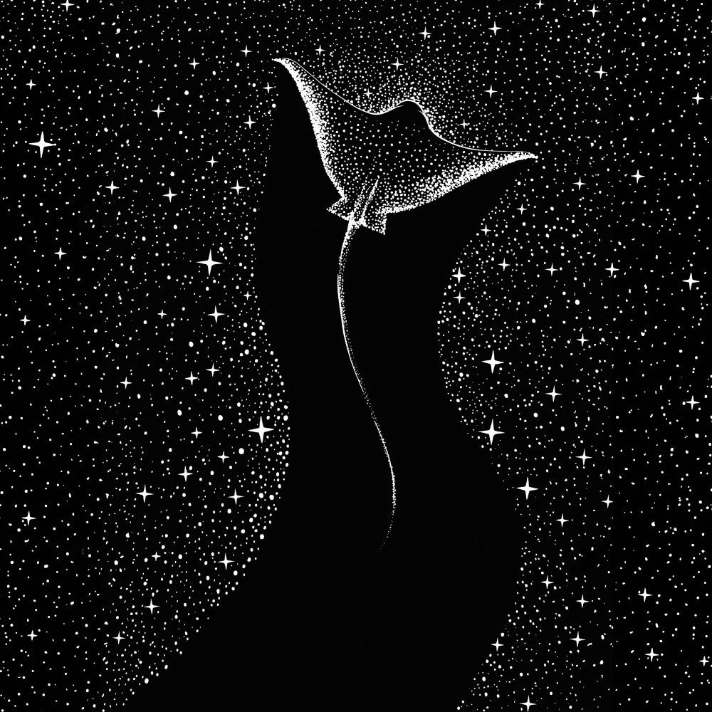 Star Collector (black Version)