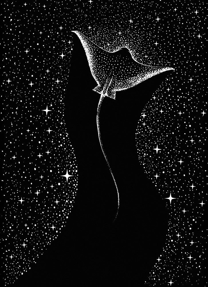 Star Collector (black Version)
