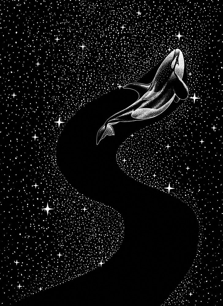 Starry Orca (black Version)