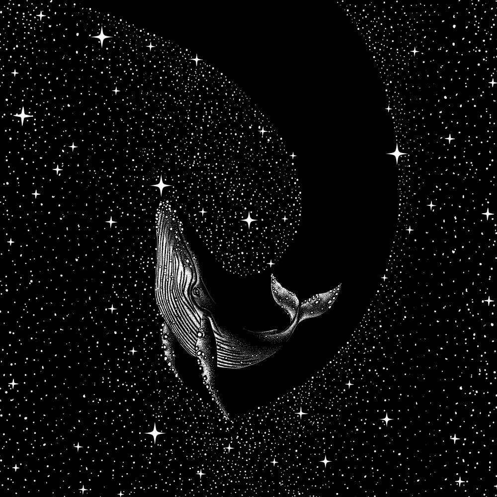 Starry whale (Black Version)