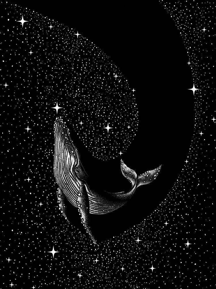 Starry whale (Black Version)