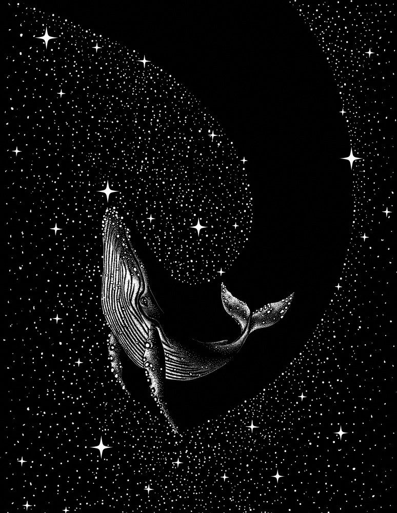 Baleine étoilée (Version Noire)