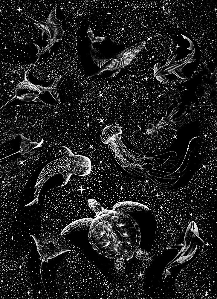Cosmic Ocean  (Black Version)