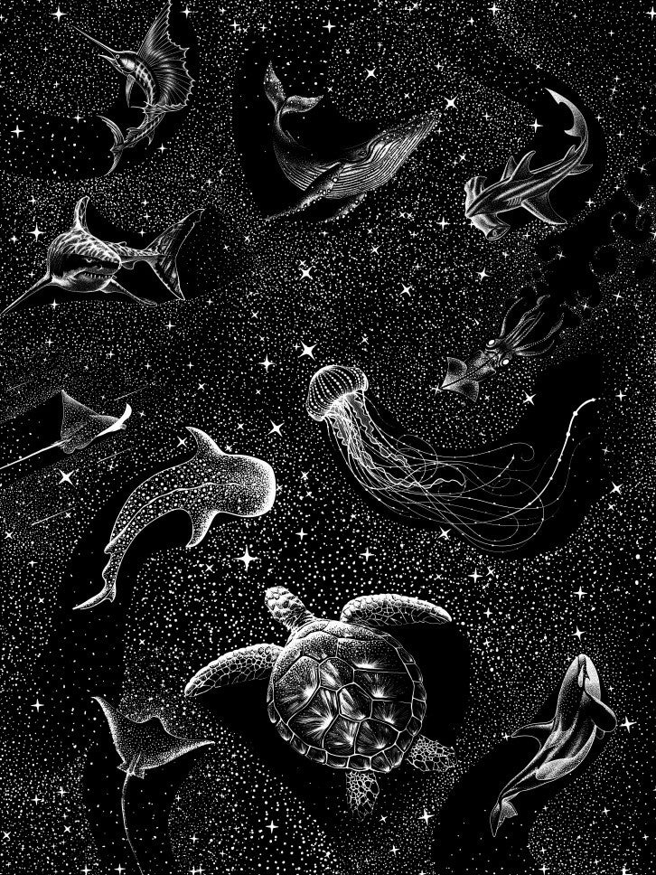 Cosmic Ocean  (Black Version)