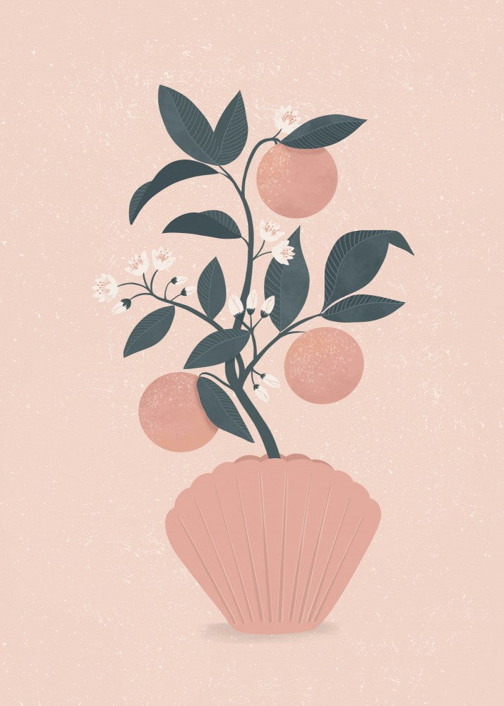 Tangerine Shell