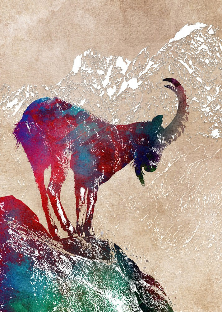 Capricorn animal 1