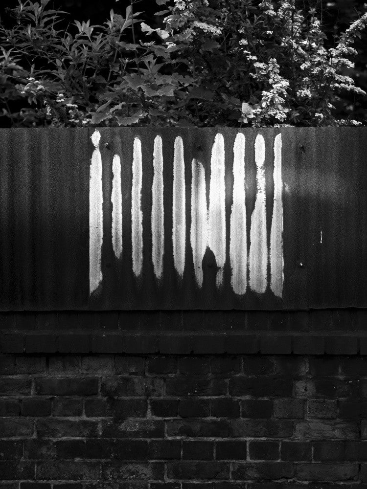 Urban Echo Lines