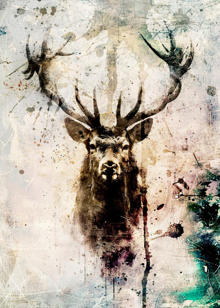 Deer Ink Illustration 02