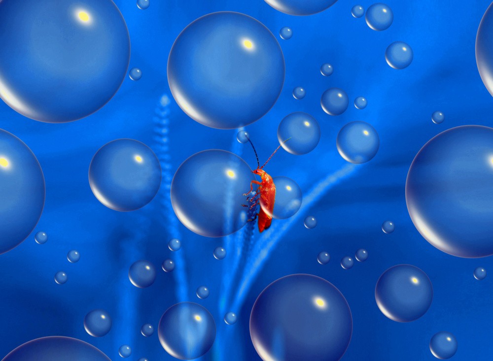 In the depths of the ocean...