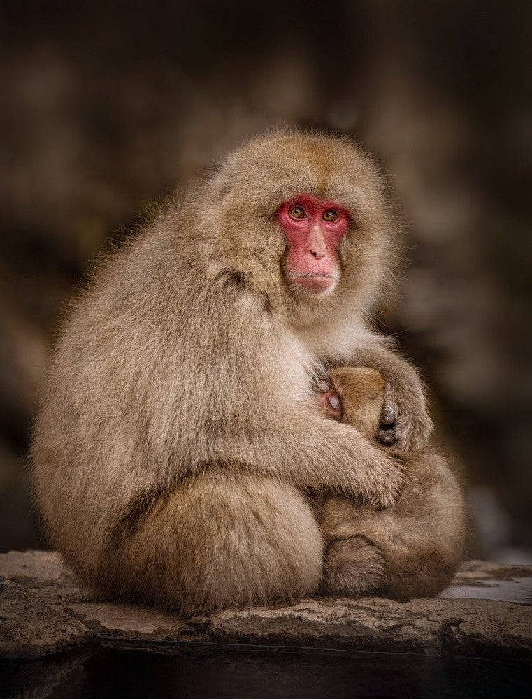 Nurturing