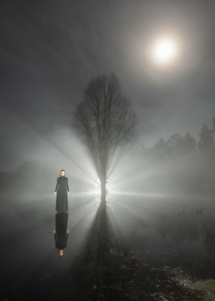 Moonlit night