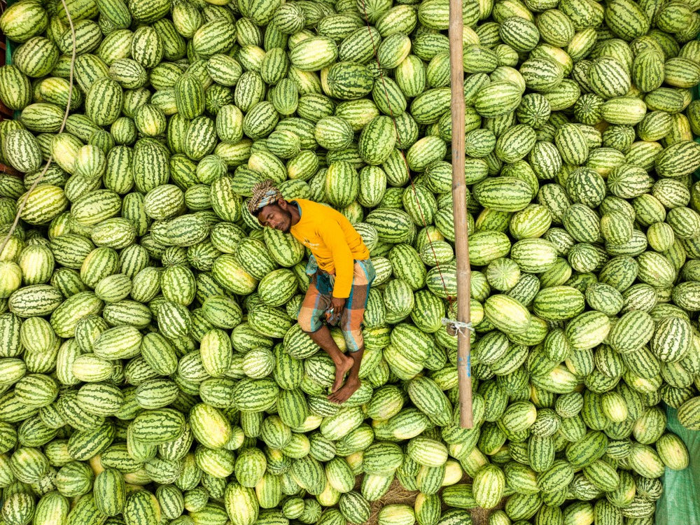 Bed of fruits