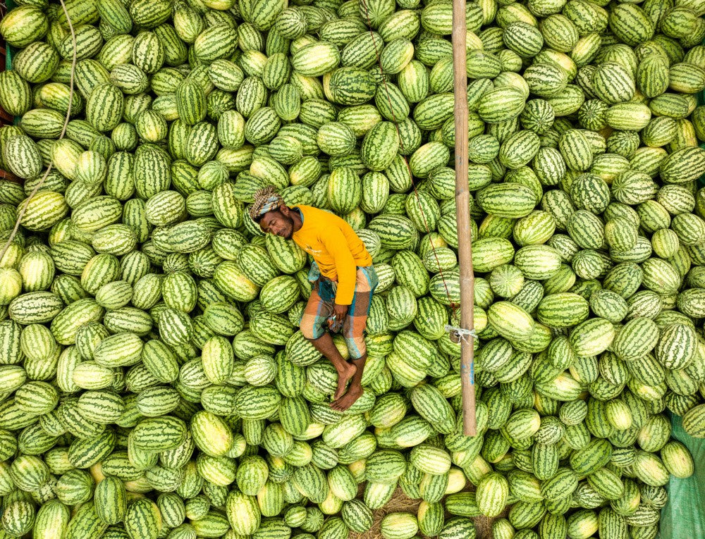 Bed of fruits