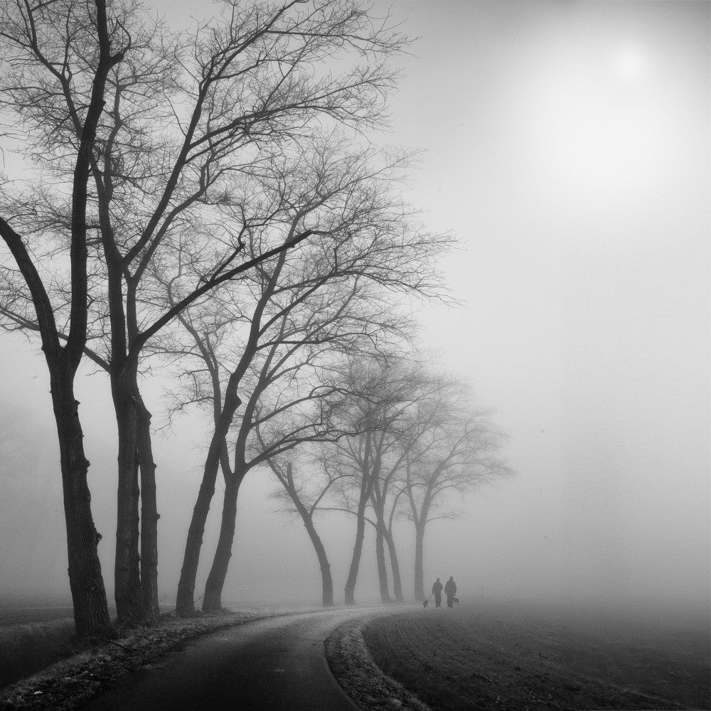 Fog is the Earth's way of whispering