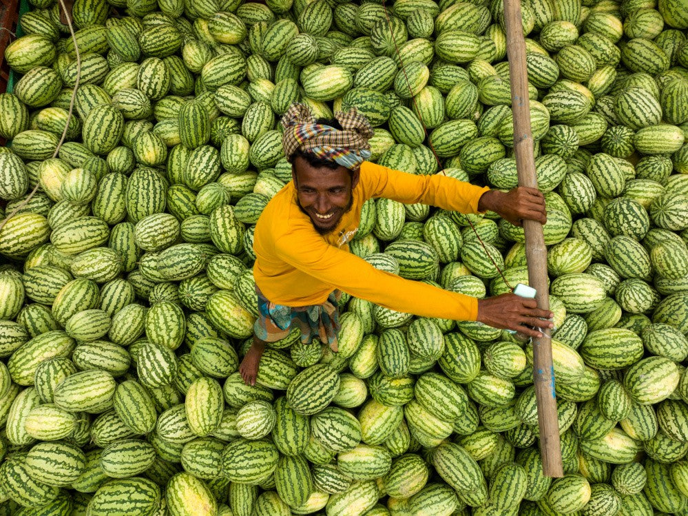 Watermelon transporter