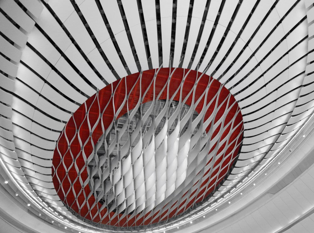 Concentric Circles