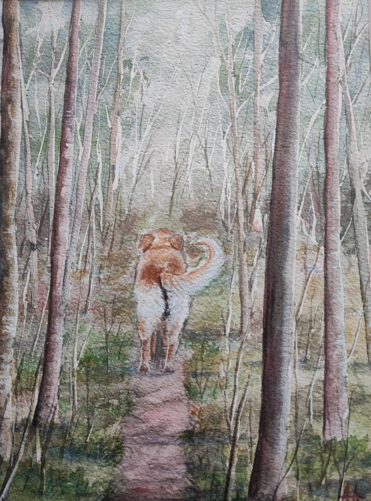 The walk