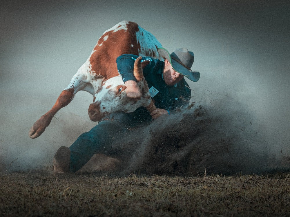 Steer Wrestling