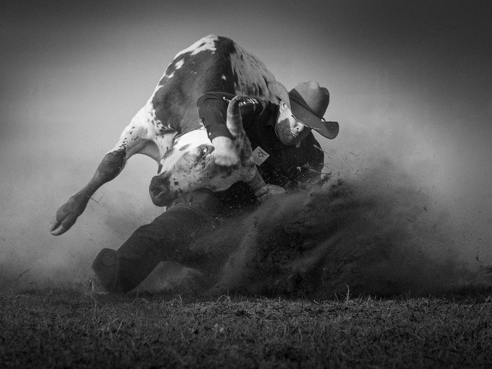 Steer Wrestling