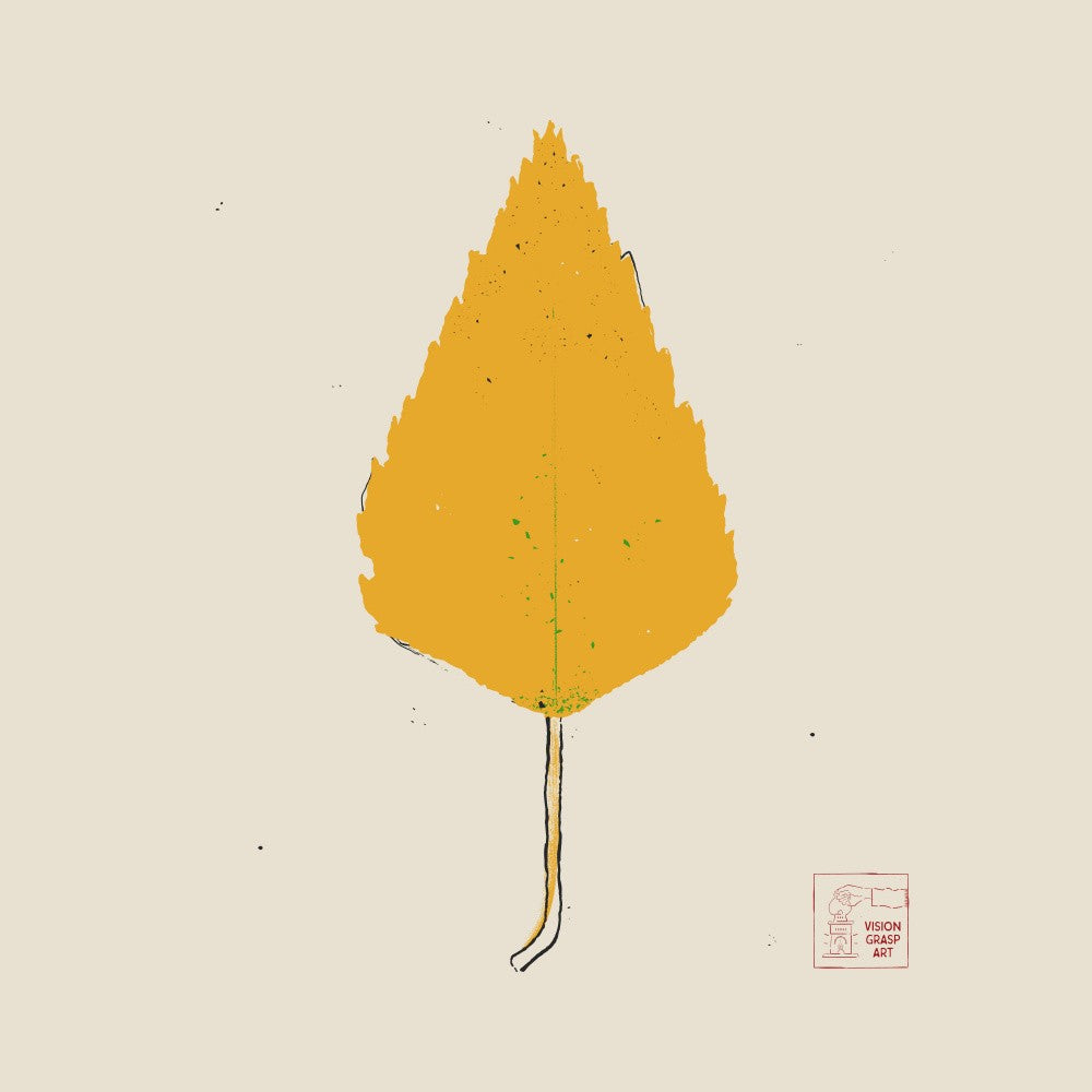 Birch