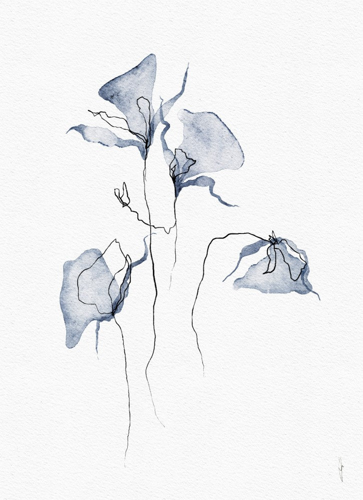 Whispers of Nature