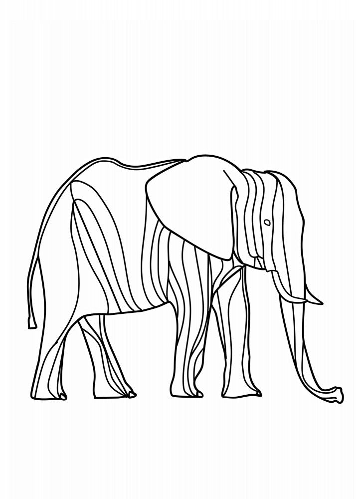 Line Elephant
