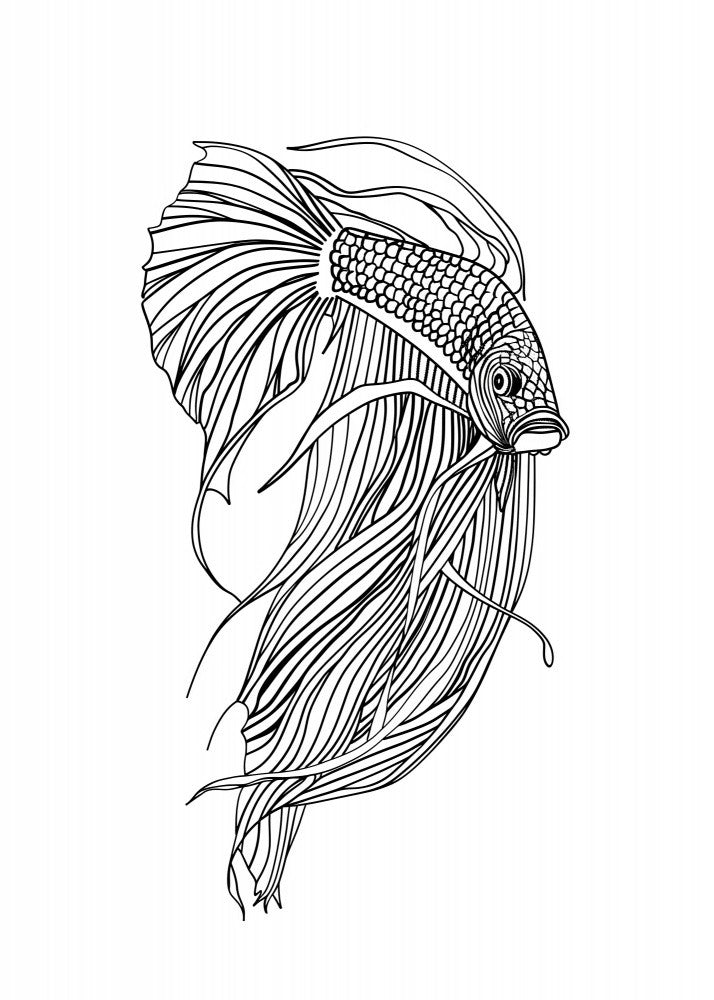 Line Fish