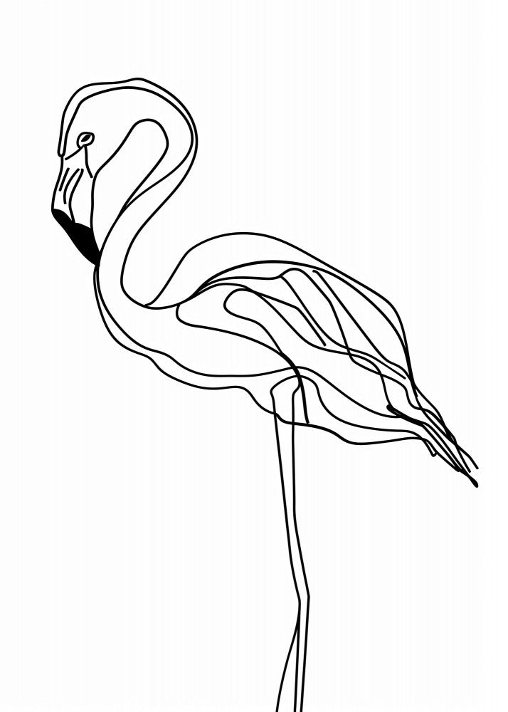 Line Flamingo