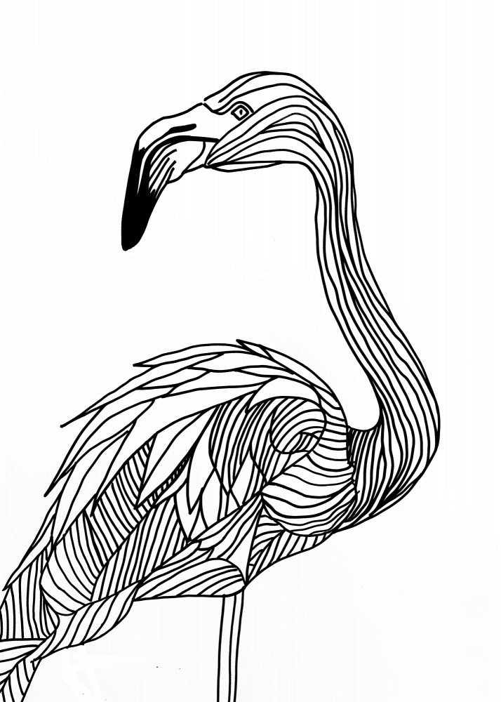 Lines art Flamingo