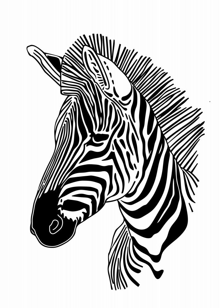 Lines art Zebra