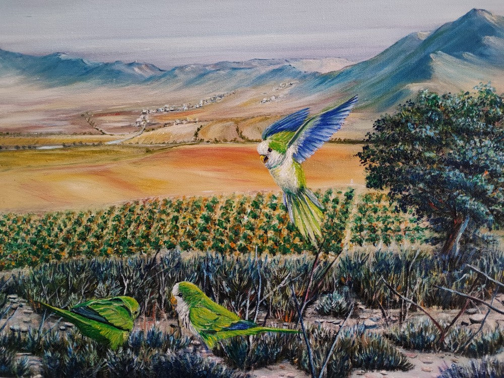 Ailes de l'Espagne