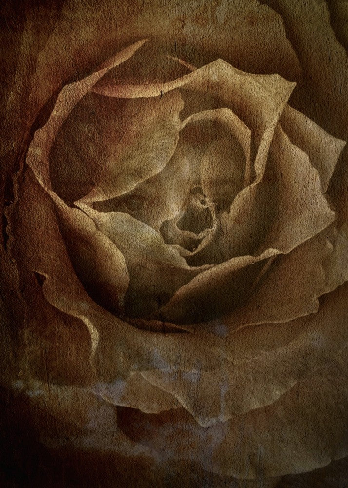 Metamorphose