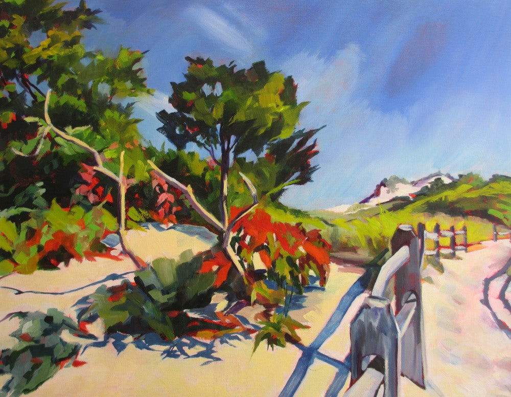 Island Beach Walk
