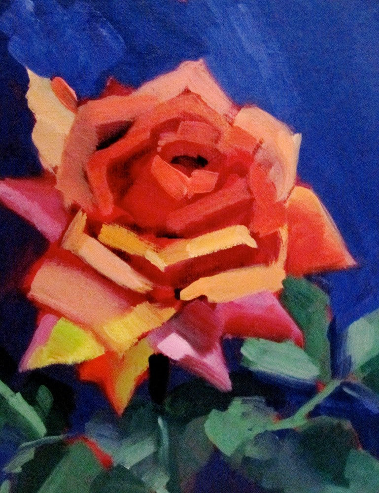 Blushing Rose