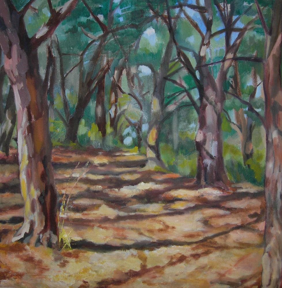 Cape Cod Forest